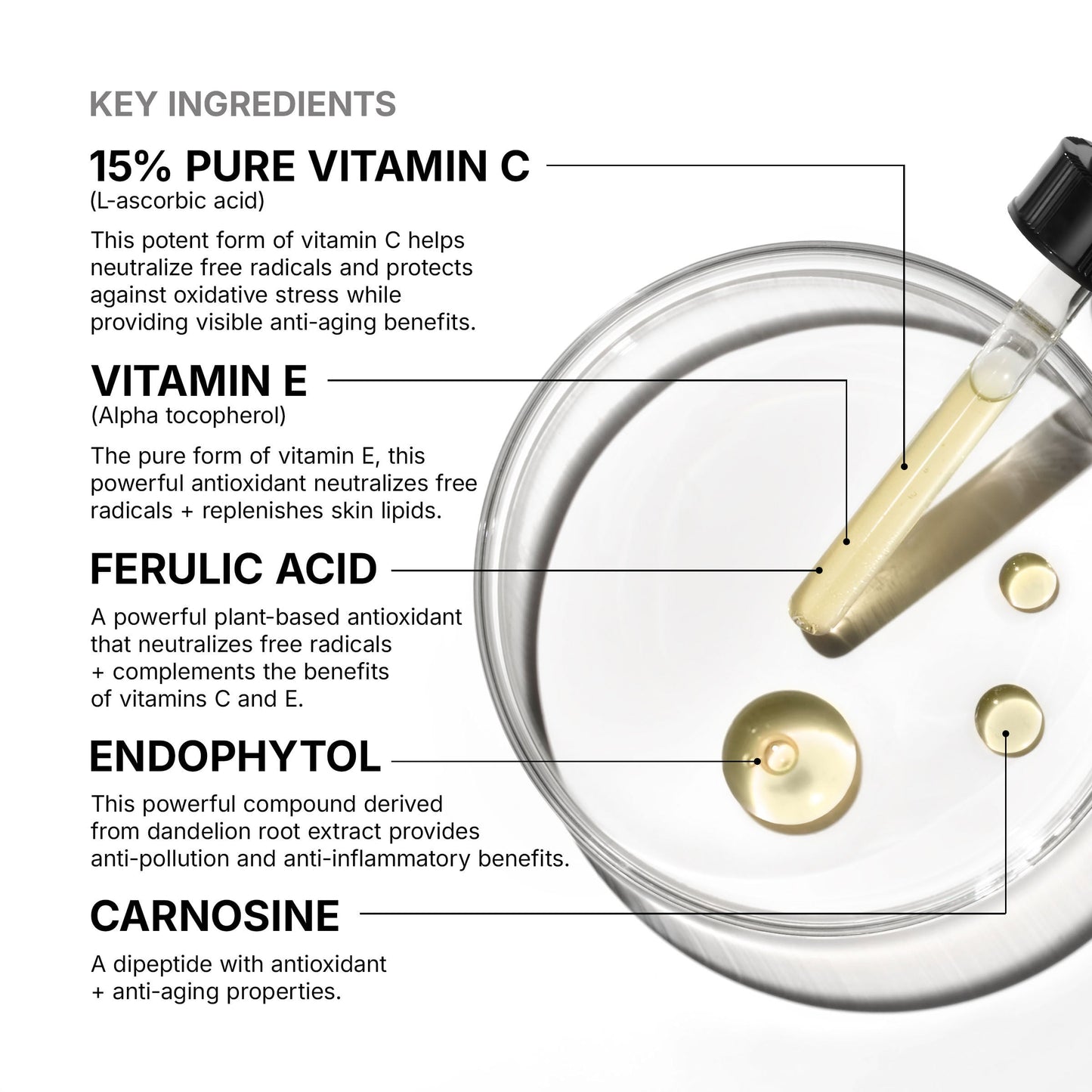 SkinCeuticals C E Ferulic key ingredients: 15% L-ascorbic acid, vitamin E, ferulic acid