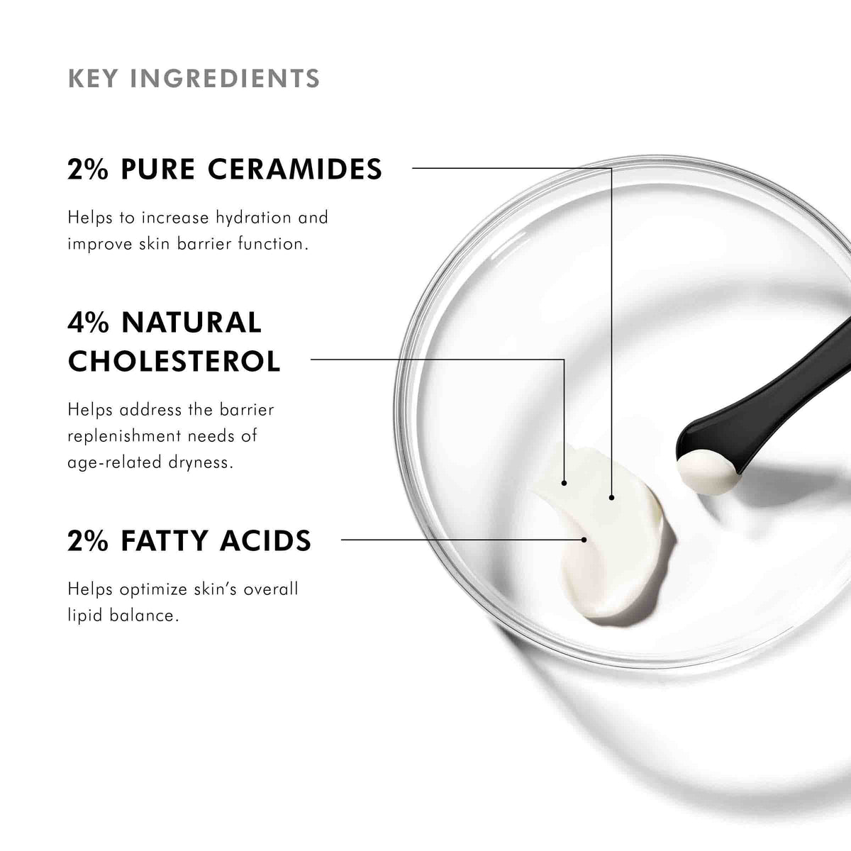 SkinCeuticals Triple Lipid Restore 2:4:2 key ingredients - 2% pure ceramides, 4% natural cholesterol, 2% fatty acids