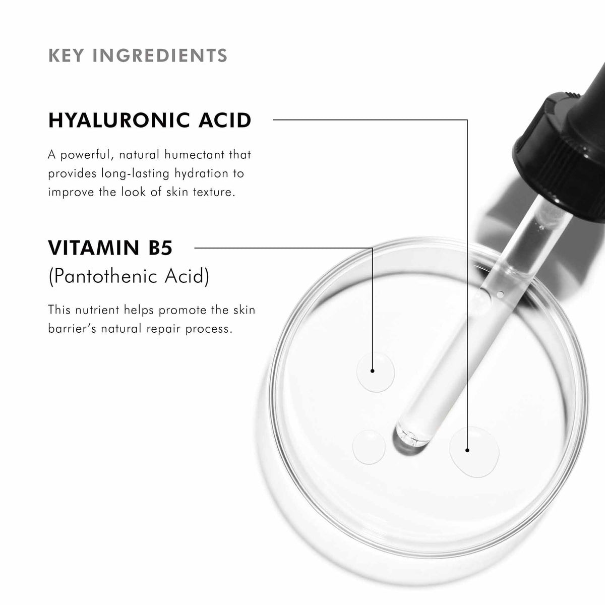 SkinCeuticals Hydrating B5 Gel key ingredients - hyaluronic acid and vitamin B5 panthenol