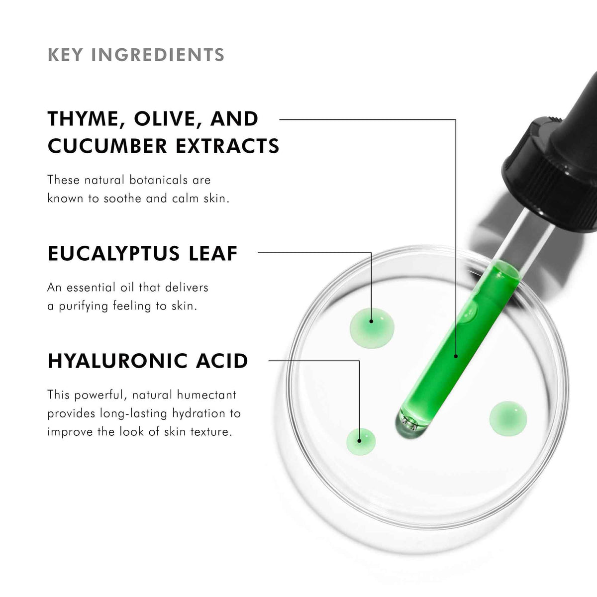 SkinCeuticals Phyto Corrective Gel key ingredients - thyme, olive, cucumber, eucalyptus and hyaluronic acid